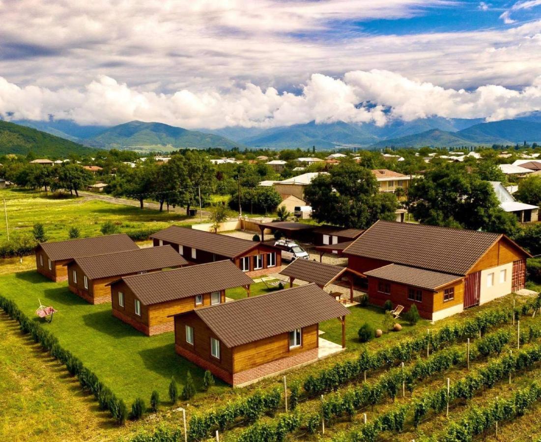Finca Idoize Camping Hotel Akhmeta Esterno foto