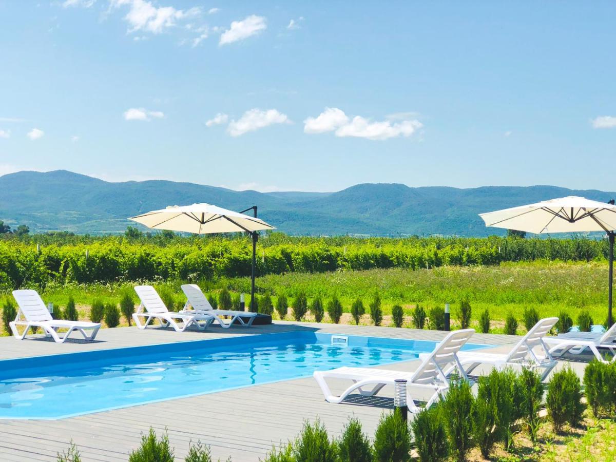 Finca Idoize Camping Hotel Akhmeta Esterno foto